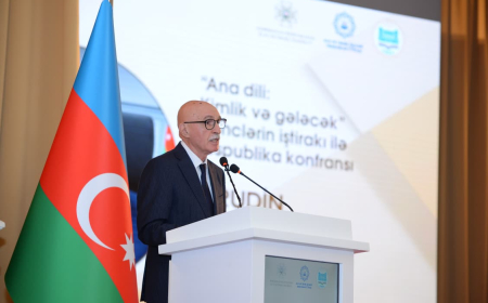 Elm ana dilində inkişaf etmədikdə terminologiya əcnəbi dillərin təsiri altına düşür – Nazir müavini