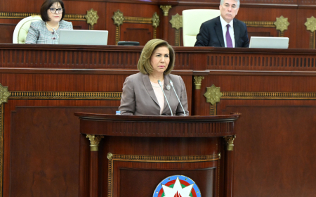 Bahar Muradova: Erkən evlilik 50 faizə yaxın azalıb 
