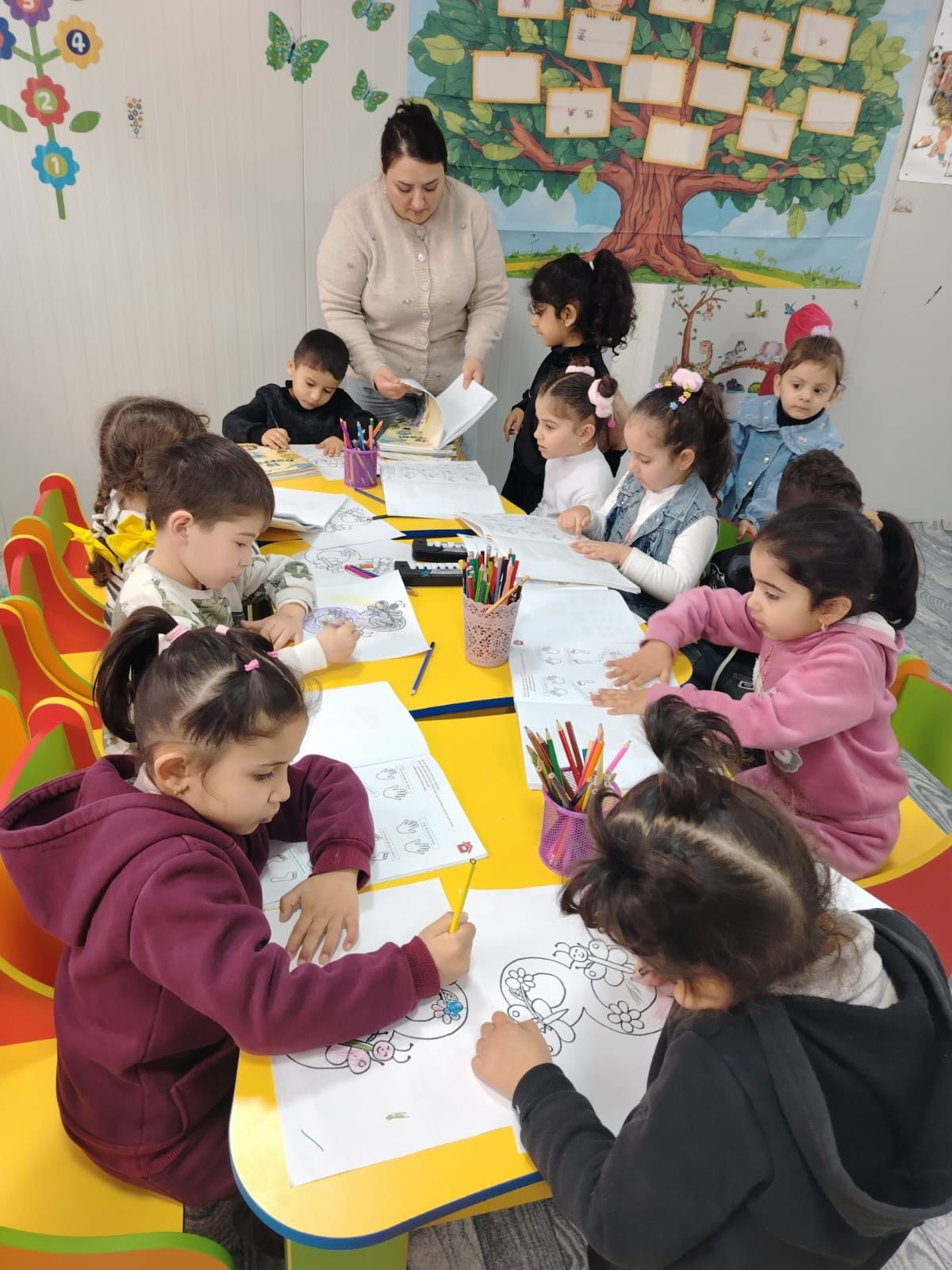 Orxan Cəfərov: “Əsas məqsəd ehtiyac olan ərazilərdə yeni qrupların açılmasıdır”