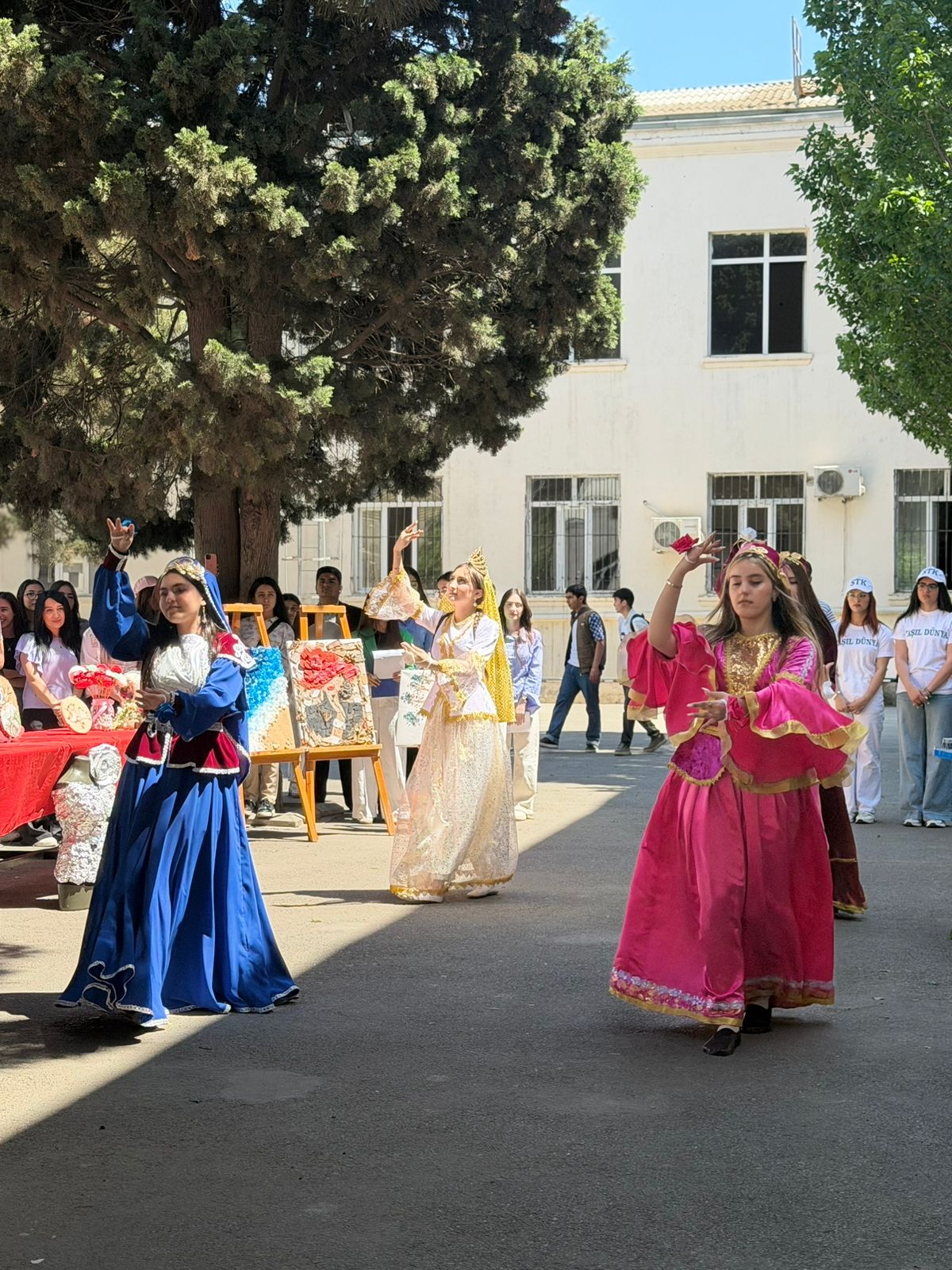STK-da "Yaşıl kollec" layihəsi çərçivəsində növbəti tədbir  keçirilib