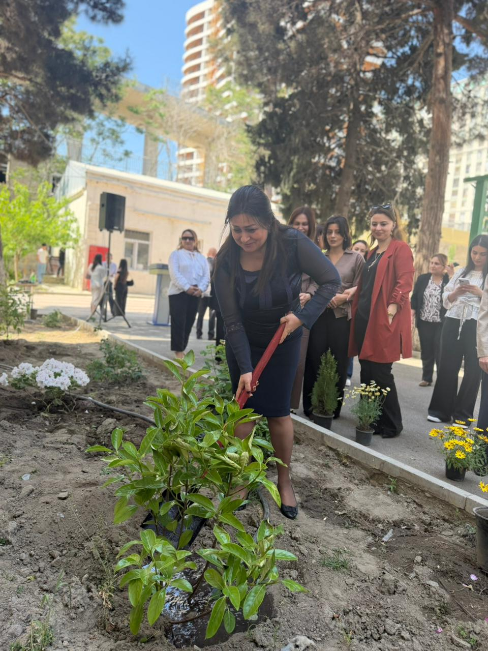 STK-da "Yaşıl kollec" layihəsi çərçivəsində növbəti tədbir  keçirilib