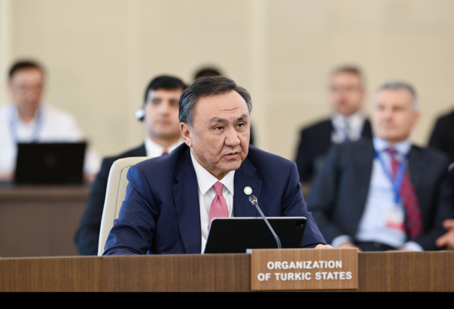 Kubanıçbek Ömüralıyev: Dilçilik sahəsindəki əməkdaşlıq ölkələrimizi daha da yaxınlaşdıran ən vacib sahələrdəndir