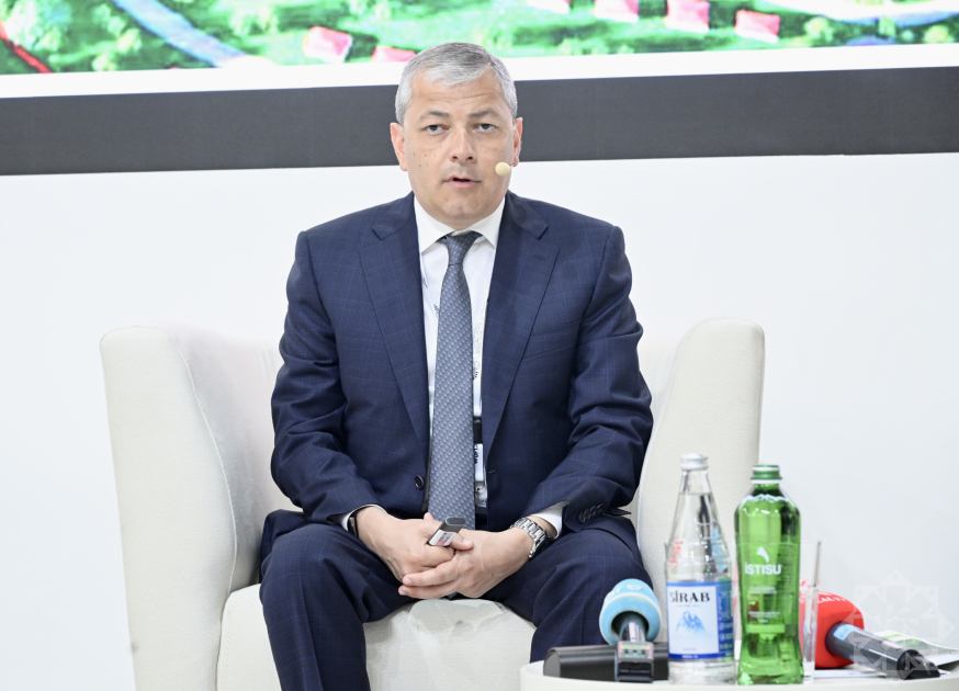 Qarabağdakı yenidənqurma işləri WUF13-də təqdim olunub
