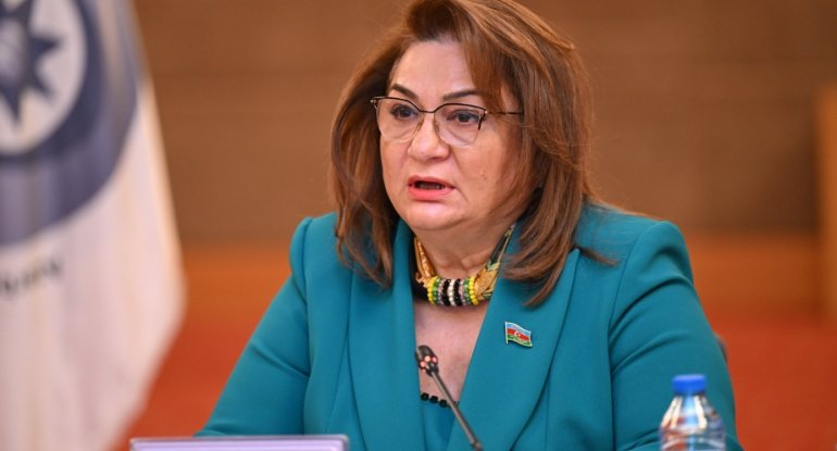 Qarabağdakı yenidənqurma işləri dünyaya təqdim etdiyimiz yeni "yol xəritəsidir - Komitə sədri