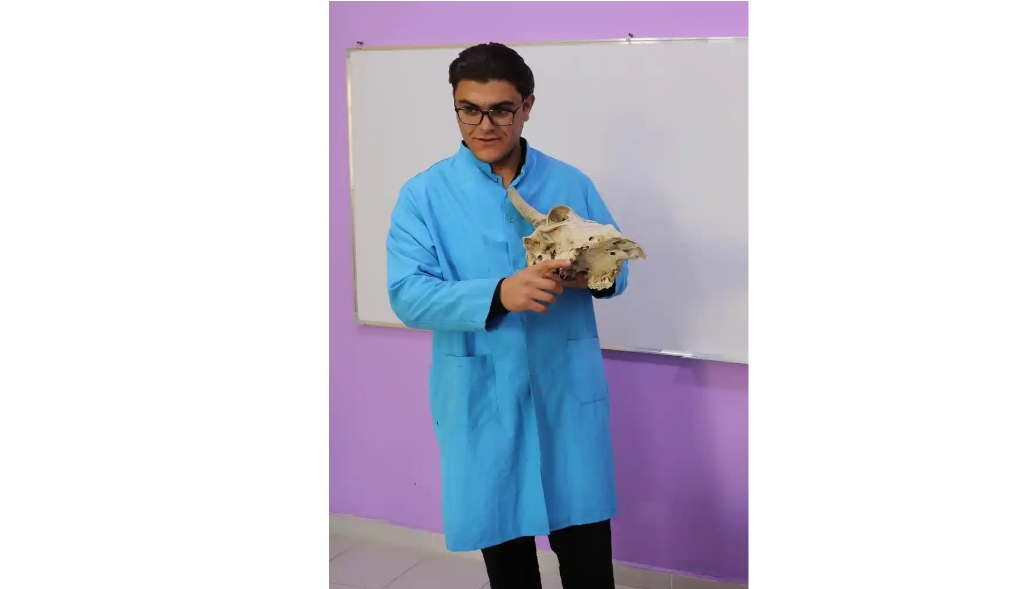 Aşpaz olmaq istəyirdi, ailə təsərrüfatı onu baytarlığa gətirdi
