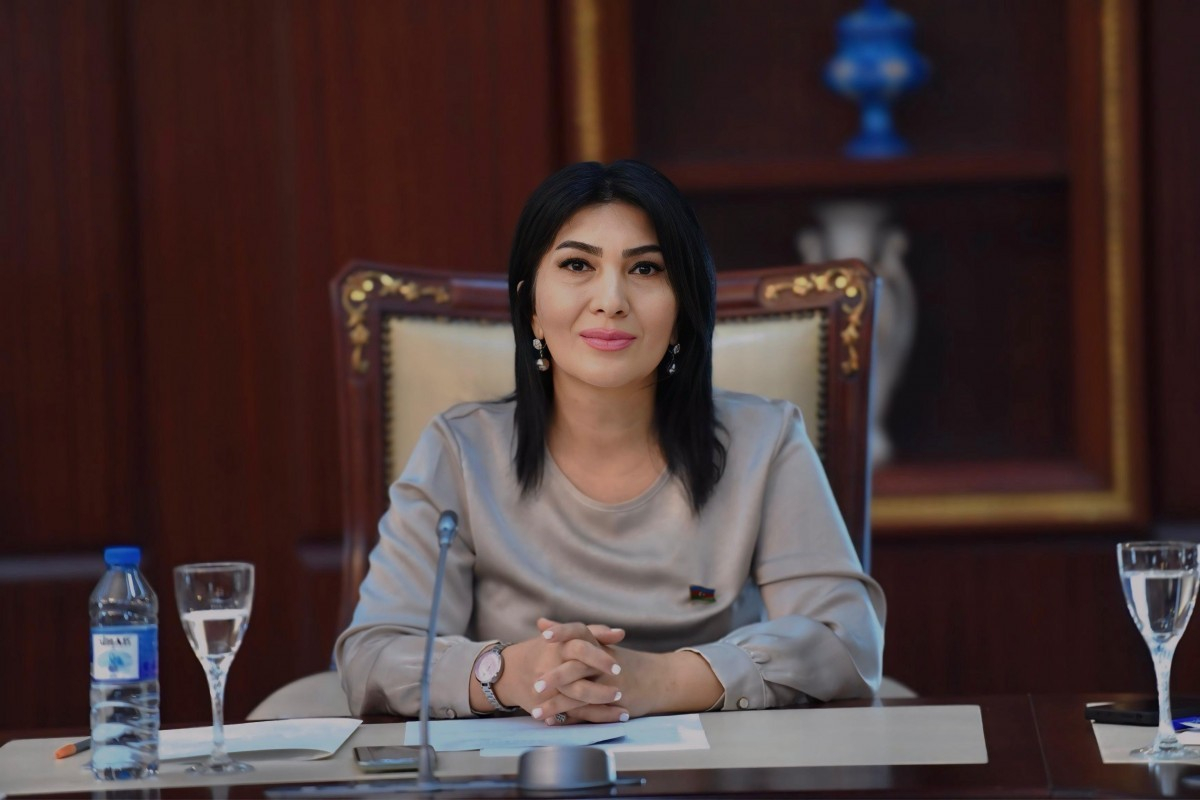 Diplom alan gənclərin əyalətlərdə çalışma şərtlərini daha cazibədar etməliyik