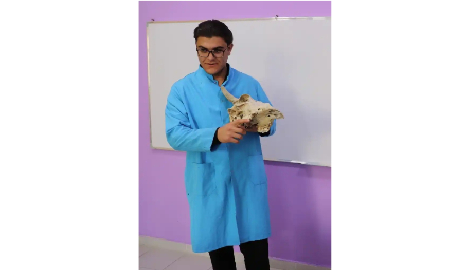Aşpaz olmaq istəyirdi, ailə təsərrüfatı onu baytarlığa gətirdi