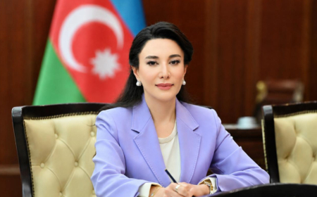 Ombudsman: Uşaqlar arasında geniş yayılmış onlayn oyunlar ciddi risklər yaradır