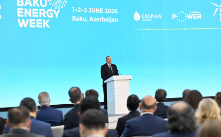 Prezident İlham Əliyev: “Yaşıl enerji” imkanlarının genişləndirilməsi qarşıdakı dövrün əsas strateji hədəfidir