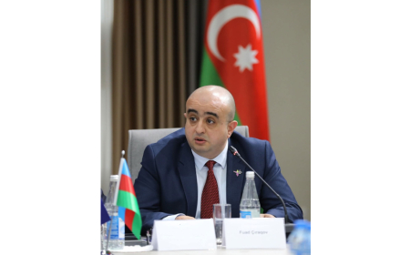 Fuad Çıraqov Gürcüstanda təhsil məsələləri üzrə müşavir oldu