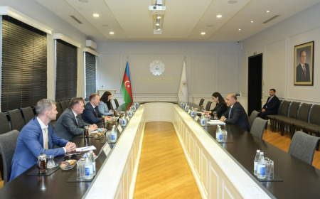İdris İsayev Tatarıstanın sənaye və ticarət nazirinin müavini ilə görüşüb