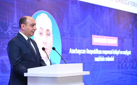 Nazir müavini: Kibertəhlükəsizlikdə insan amili həlledici rol oynayır