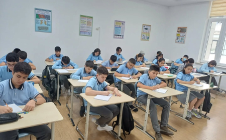 Bu liseyə şagird qəbulu elan edilir 