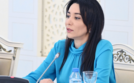 Valideynlər uşaqların rəqəmsal platformalardan istifadə etmələrinə diqqətlə yanaşmalıdır