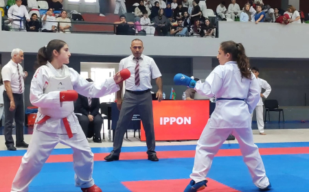 Karate üzrə “Lankaran Open” turniri keçirilib 