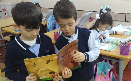 Birinci sinif şagirdlərində oxu bacarığının formalaşdırılması – Müəllimin pedaqoji gündəliyindən