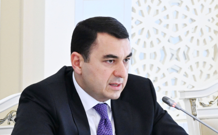 Kitabxanaçıların maaşının artırılması üçün model hazırlanıb - Nazir