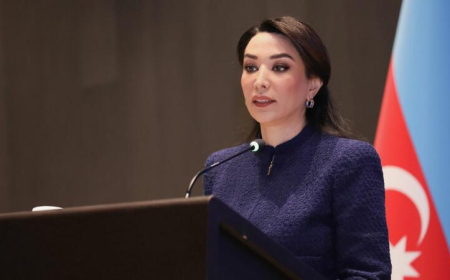Ombudsman: Müasir dövrdə gənc mütəxəssislərdən yalnız savad və peşəkarlıq gözlənilmir