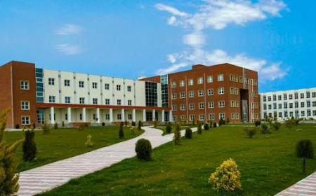BMU prioritet sahələr üzrə 3 ikili diplom proqramı təqdim edir