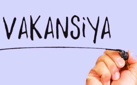 Bu universitet müəllim vakansiyası elan edir 