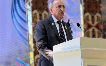 Əziz Ələkbərli: Festival soydaşlarımızın baba yurdlarına qayıdacağına olan qətiyyətin ifadəsidir