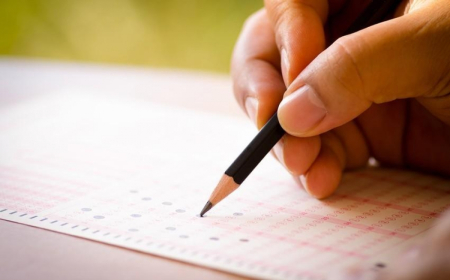 Plan yerləri artsa da, rəqabət güclənib – Statistika