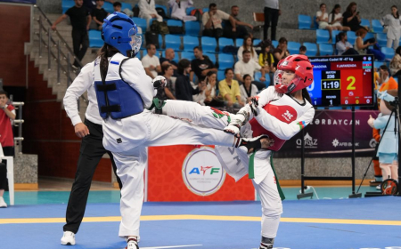 Taekvondo yarışlarına yekun vurulub 