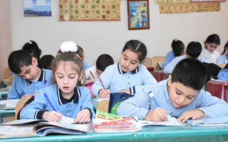 Bu ərazilərdə şagird sıxlığı ilə bağlı problemlər var - Nazir məsələyə diqqəti çəkdi