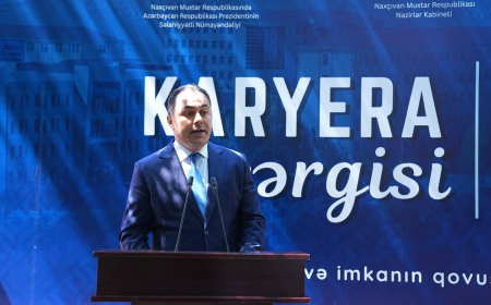 Naxçıvanın əmək bazarında 21 mindən artıq vakansiya var - Baş nazir