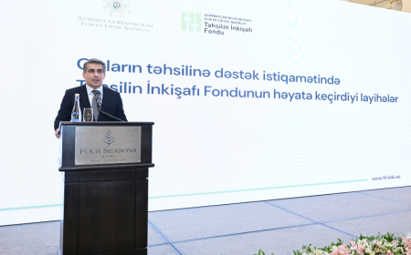 TİF-in təqaüd proqramları çərçivəsində 489 nəfərə dəstək göstərilib 