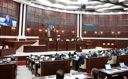 Sosial şəbəkələrdə uşaqların qorunması haqqında qanun layihəsi son oxunuşda qəbul edilib