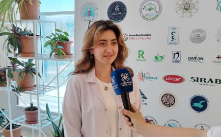 "Naxçıvana gəlmək qərarımdan heç vaxt peşman olmadım" - Türkiyəli tələbə 