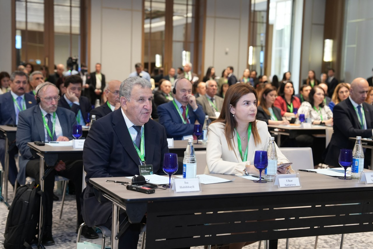 Odlar Yurdu Universitetinin təşkilatçılığı ilə elmi konfrans keçirilir