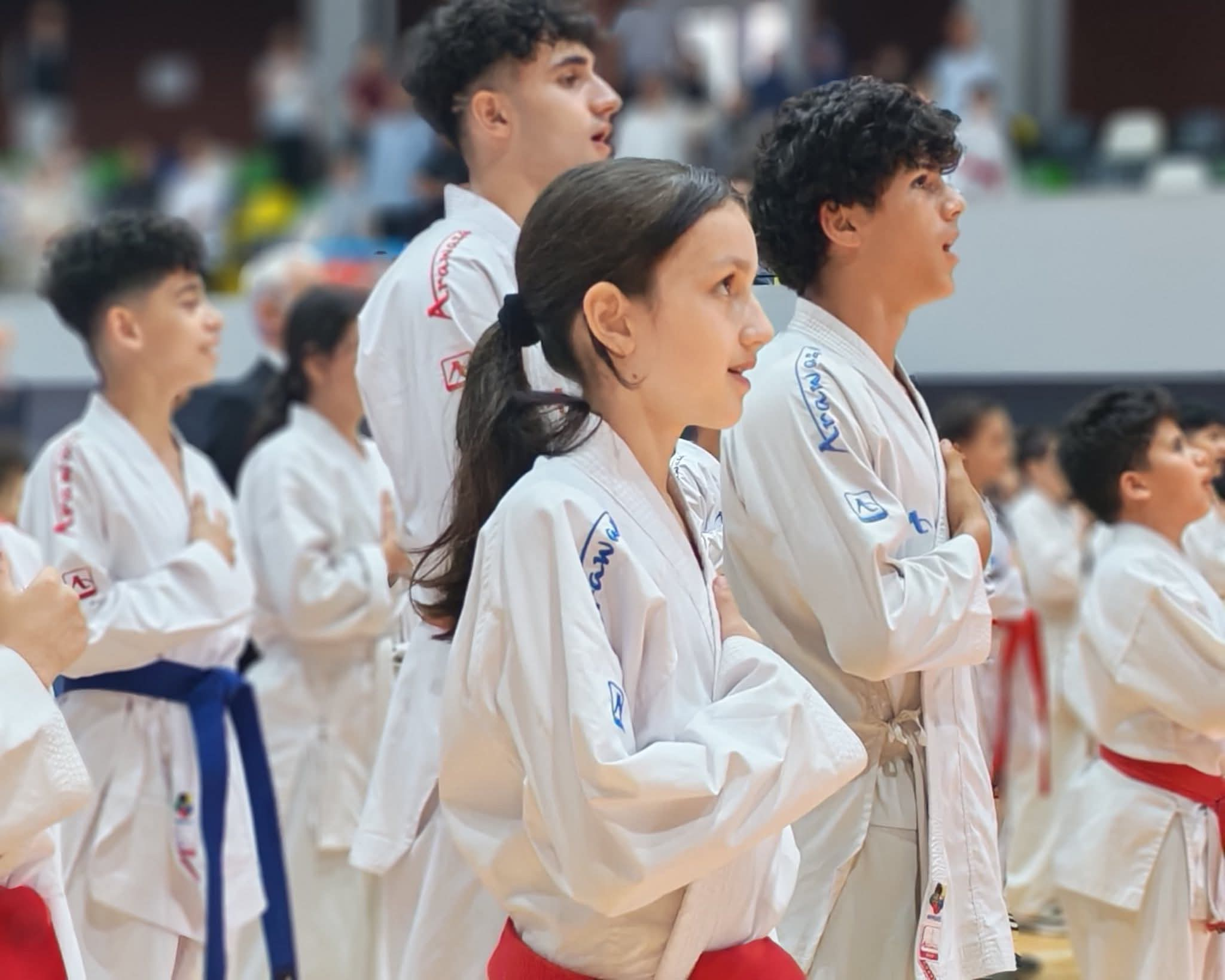 Karate üzrə “Lankaran Open” turniri keçirilib