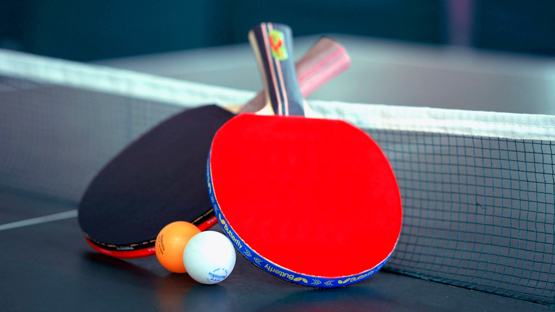 114 məktəbli  MRİO-da stolüstü tennis üzrə yarışır