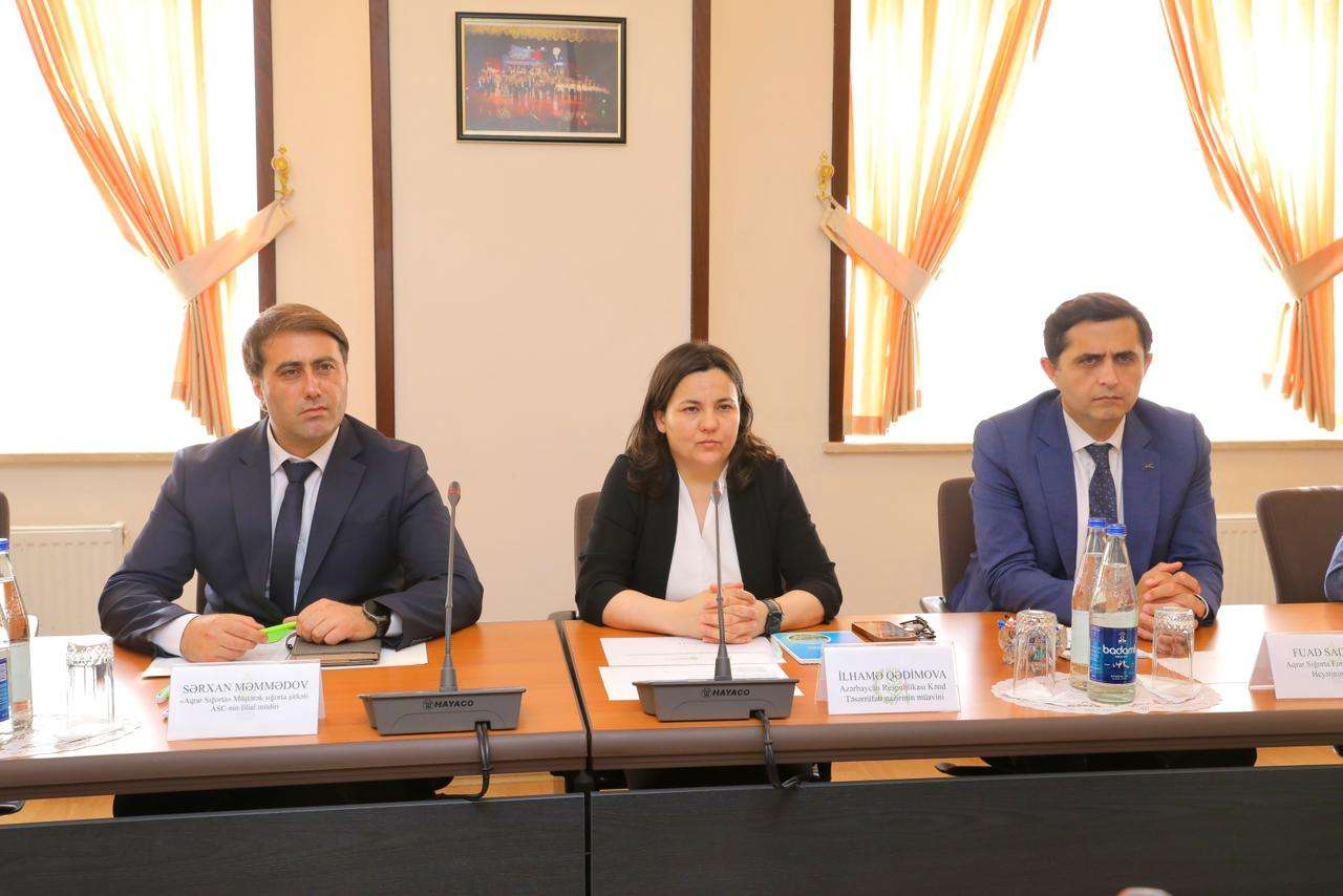 NDU tələbələri aqrar sığorta sahəsində təcrübə keçəcəklər