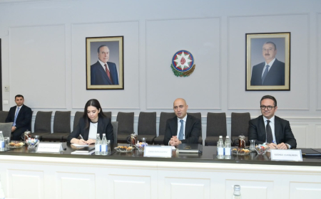 Emin Əmrullayev Vorvik Universitetinin nümayəndə heyəti ilə görüşüb
