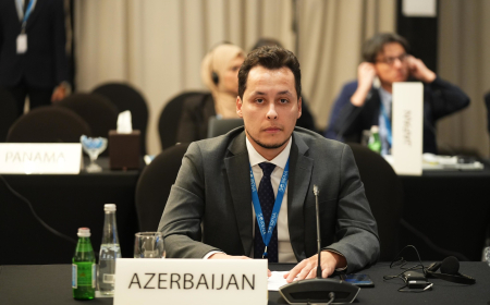 DP məzunu İsveç Universitetinin nüfuzlu təqaüd proqramının qalibi olub