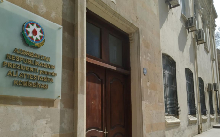 Elmi adları ən çox bu sahənin alimləri aldılar