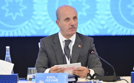 67 yaşdan sonra akademik fəaliyyət əsas götürüləcək – Erol Özvar