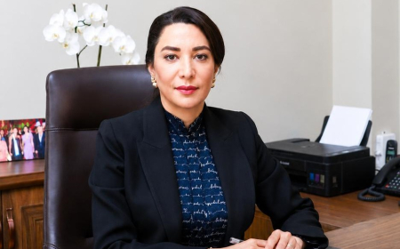 Ombudsman: "Uşaqların adına saxta hesabların yaradılması ilə bağlı müraciətlər daxil olur"