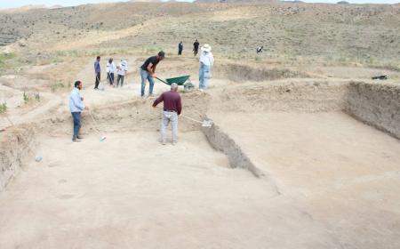 Bülövqaya tədqiqatları yeni elmi faktlar ortaya qoyub 
