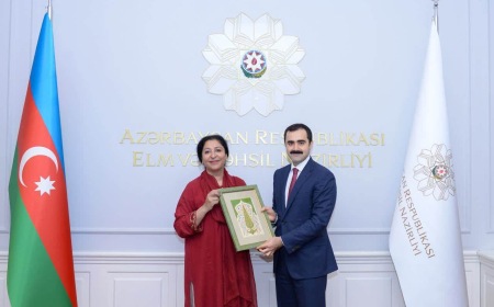 Nazir müavini Pakistanın dövlət naziri ilə görüşüb