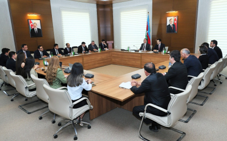Nazir müavini Həsən Həsənli Ağdaş rayonuna səfər edib 