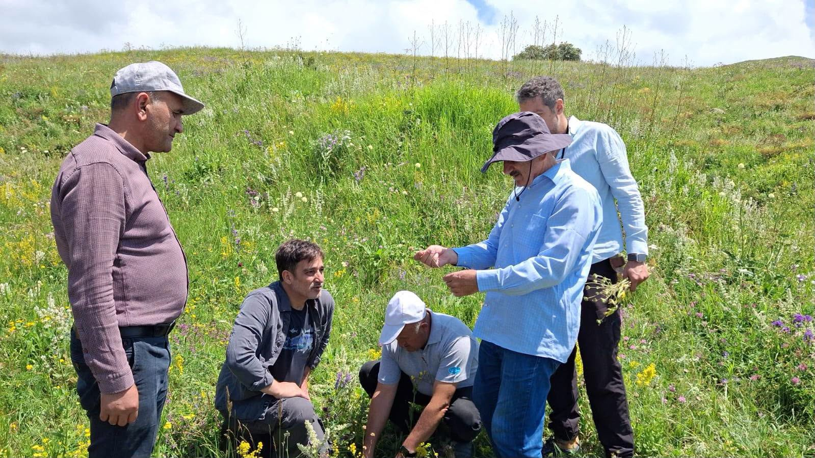 Batabatda iki yeni bitki növü aşkar edilib