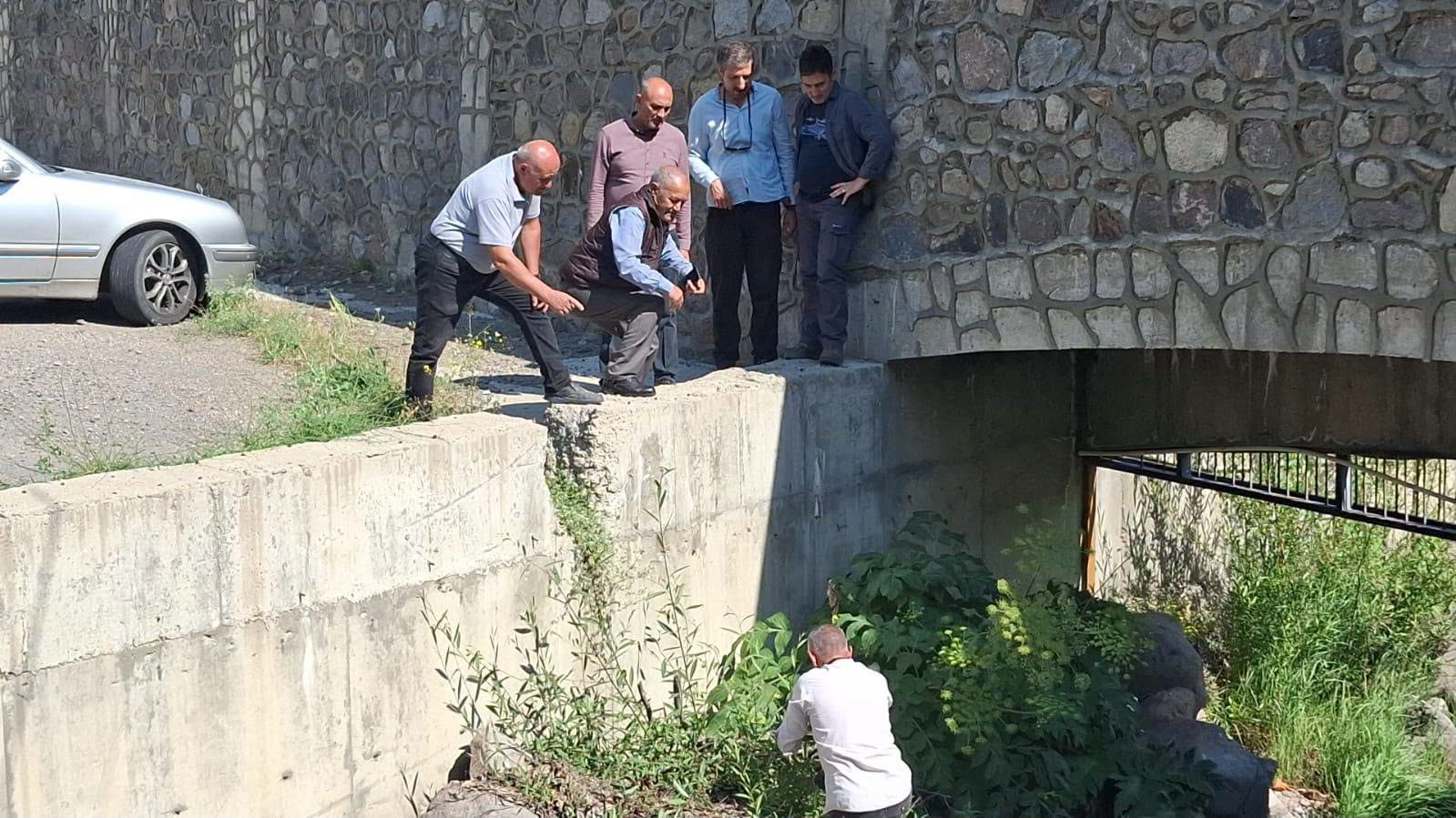 Batabatda iki yeni bitki növü aşkar edilib