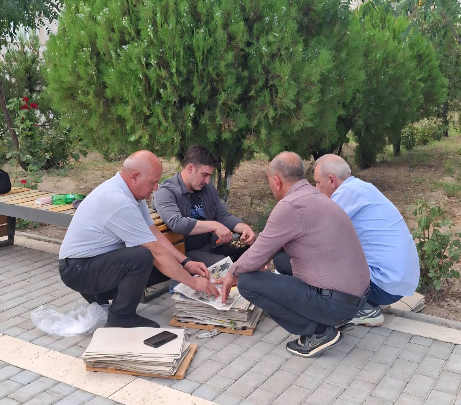 Batabatda iki yeni bitki növü aşkar edilib