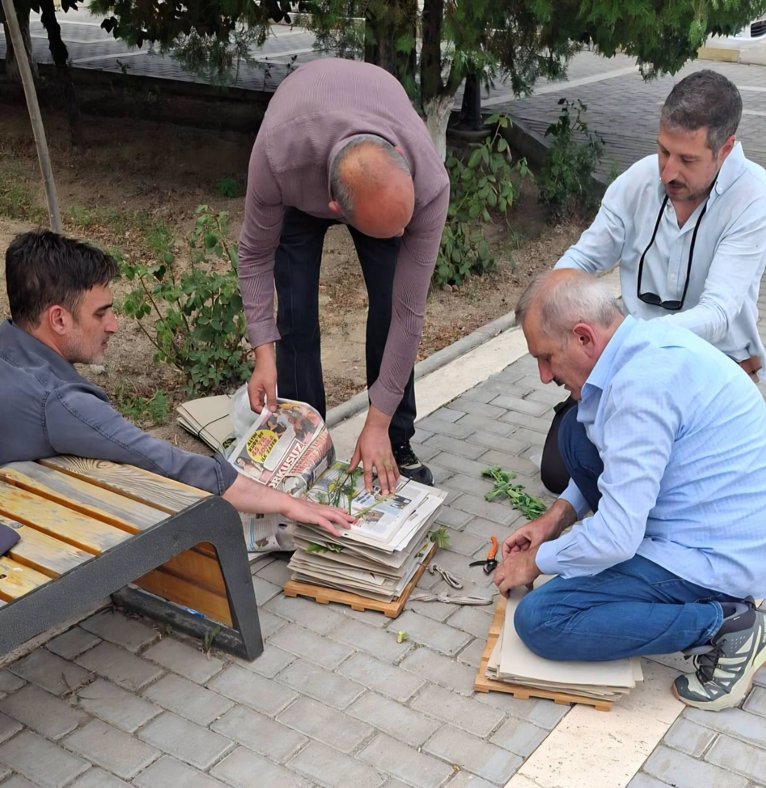 Batabatda iki yeni bitki növü aşkar edilib