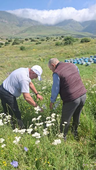 Batabatda iki yeni bitki növü aşkar edilib