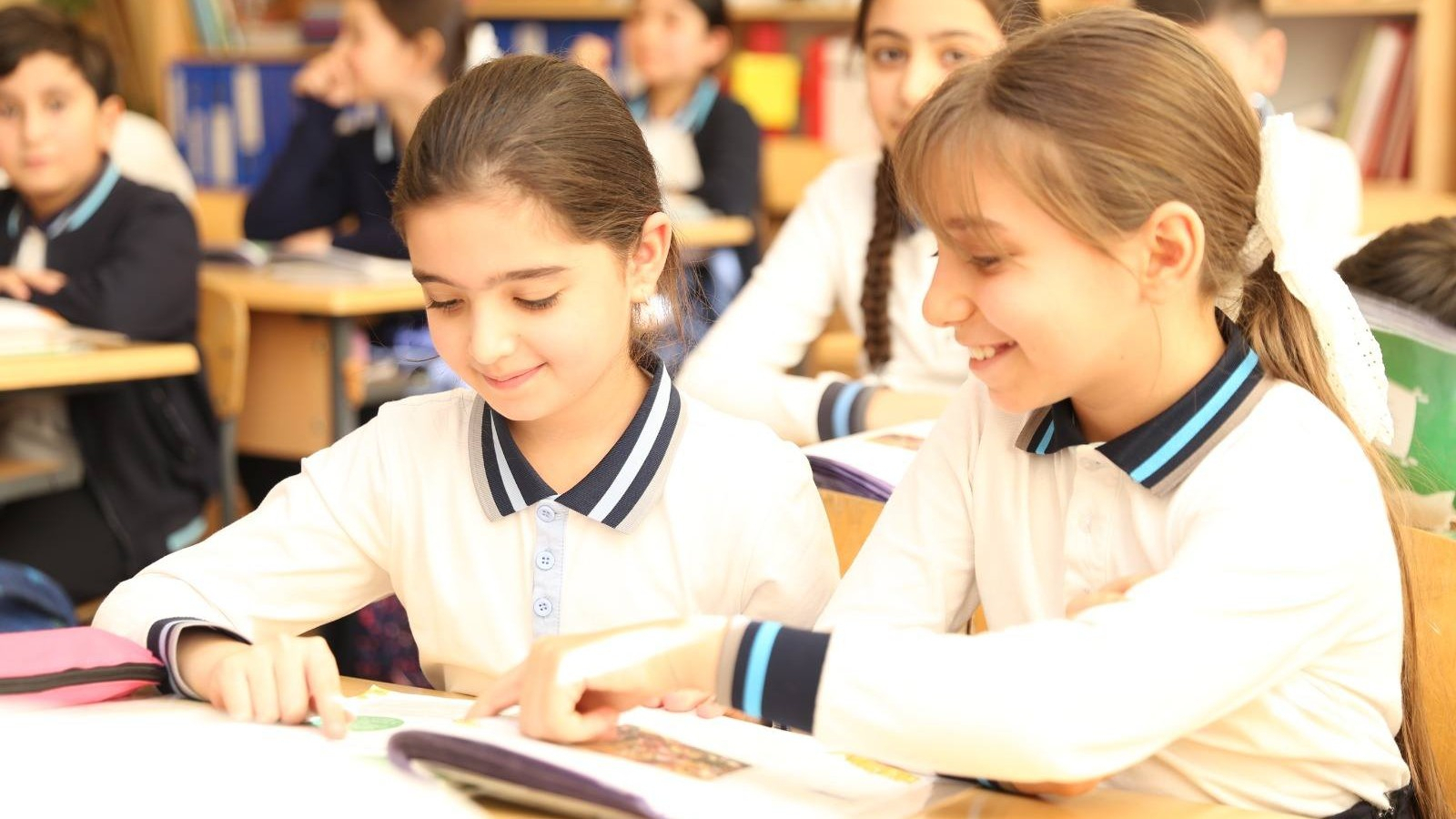 Məktəb həyatı ilə bağlı araşdırmaya start verilib
